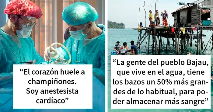 "¿Qué dato sobre el cuerpo humano no conoce mucha gente?" (40 respuestas)