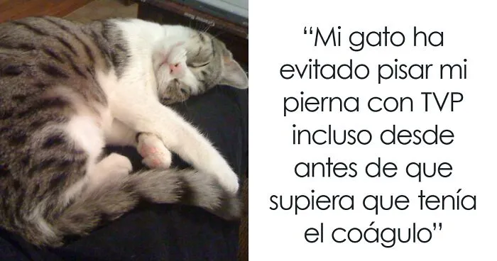 30 Actos increíblemente amables que las mascotas hicieron por sus dueños y que demuestran que el amor de una mascota no tiene límites