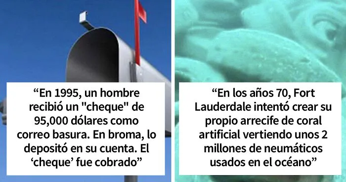"Hoy aprendí": 30 datos que demuestran que nunca es demasiado tarde para aprender (nuevas fotos)