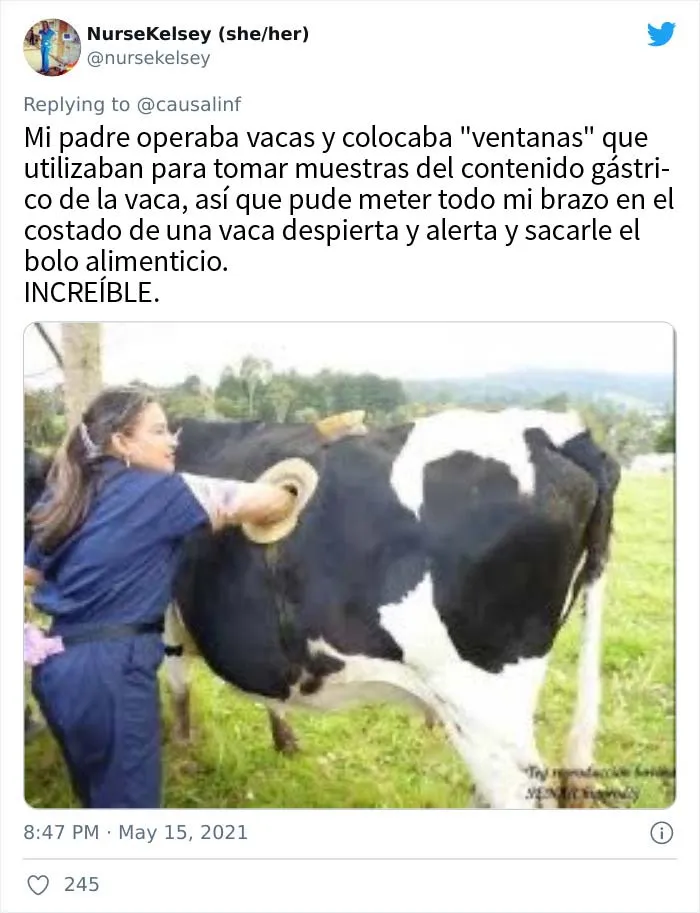 20 Respuestas geniales a "¿De qué ventajas disfrutaste de niño por el trabajo de tus padres?"