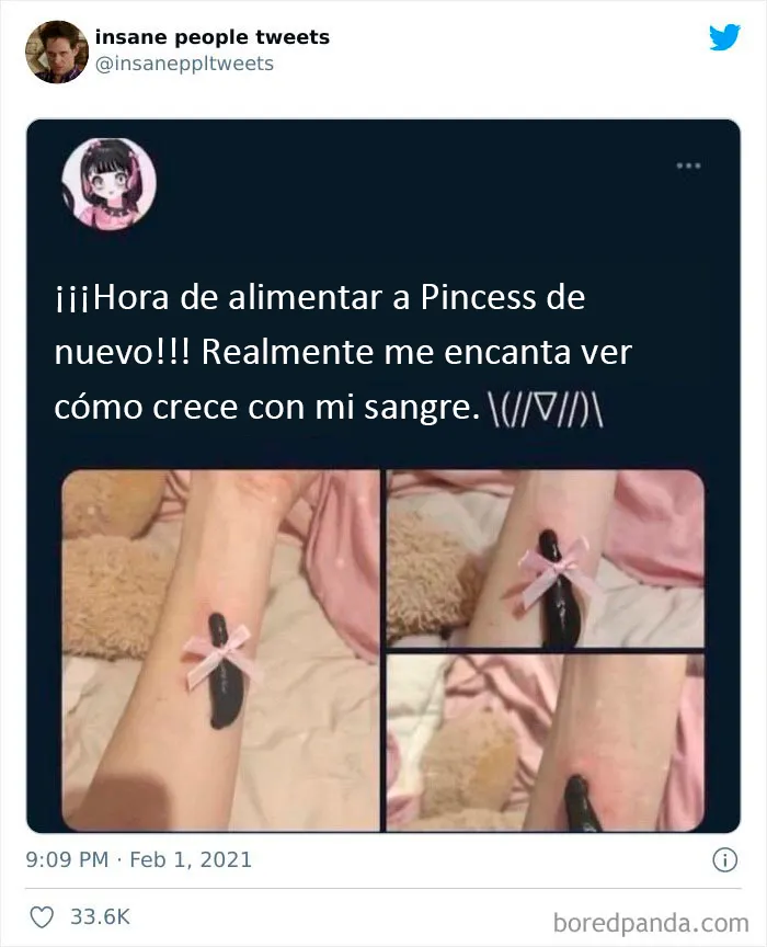20 Comentarios de gente "loca" que causan estragos en Internet