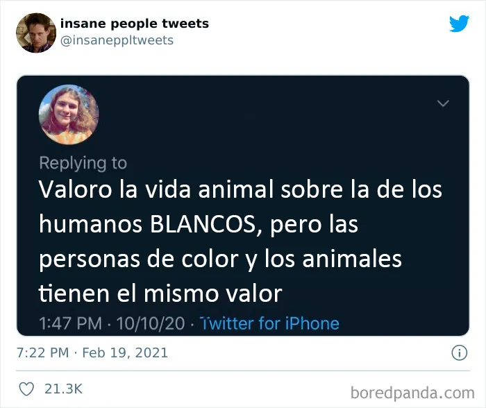 20 Comentarios de gente "loca" que causan estragos en Internet