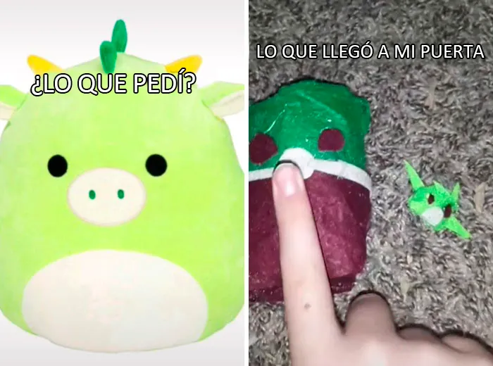 La tendencia "Lo que quería y lo que conseguí" hace que la gente comparta divertidas historias de frustración