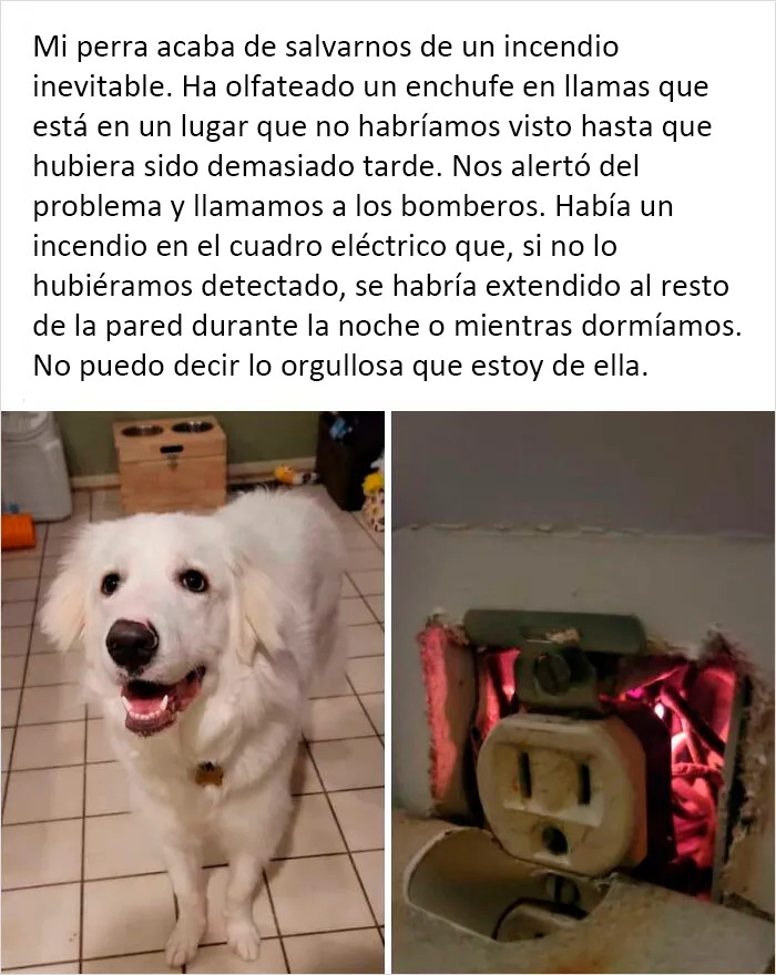 La más buena de las chicas
