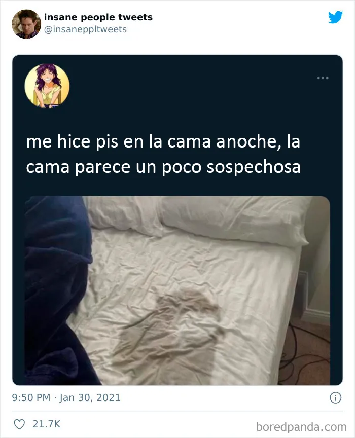 20 Comentarios de gente "loca" que causan estragos en Internet