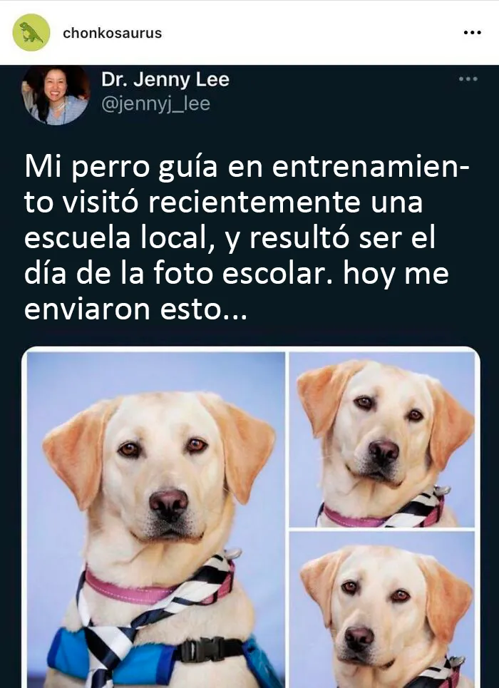 Reconfortante de verdad