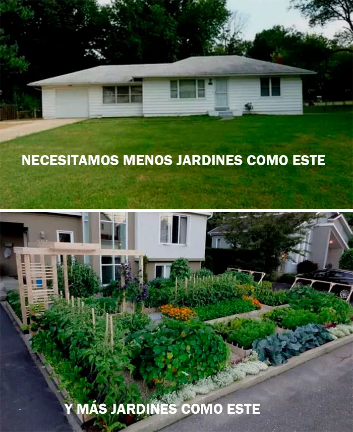 Quiero que mi césped me alimente a mí y no al revés