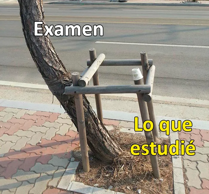 Vida universitaria