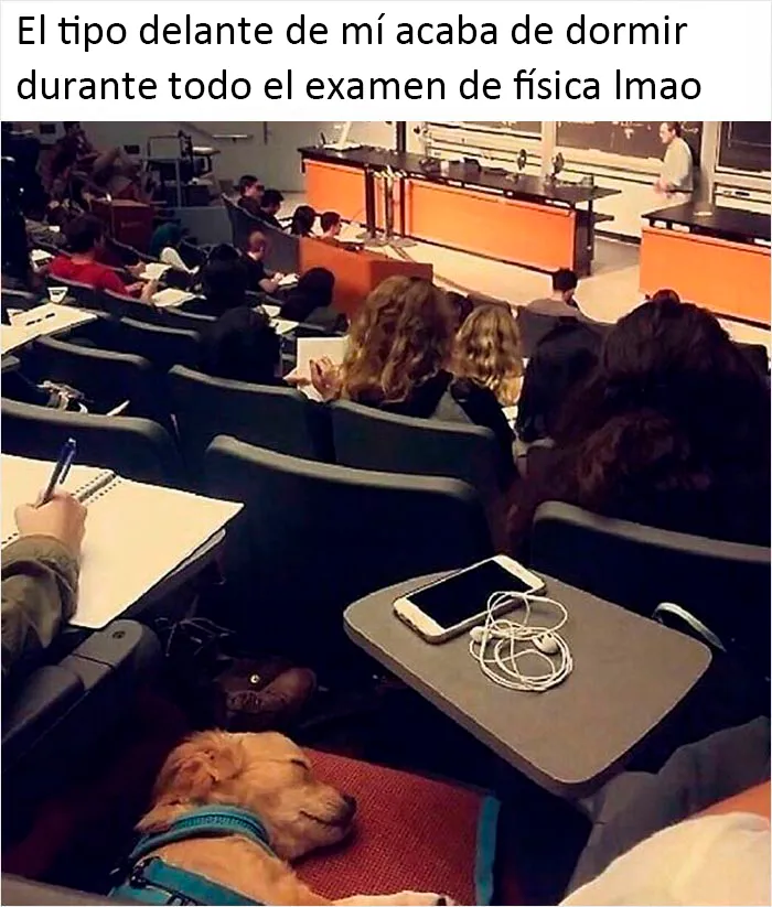 La Universidad es dura