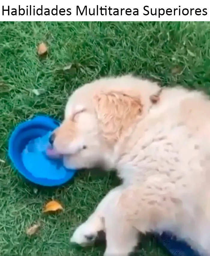 Beber.exe