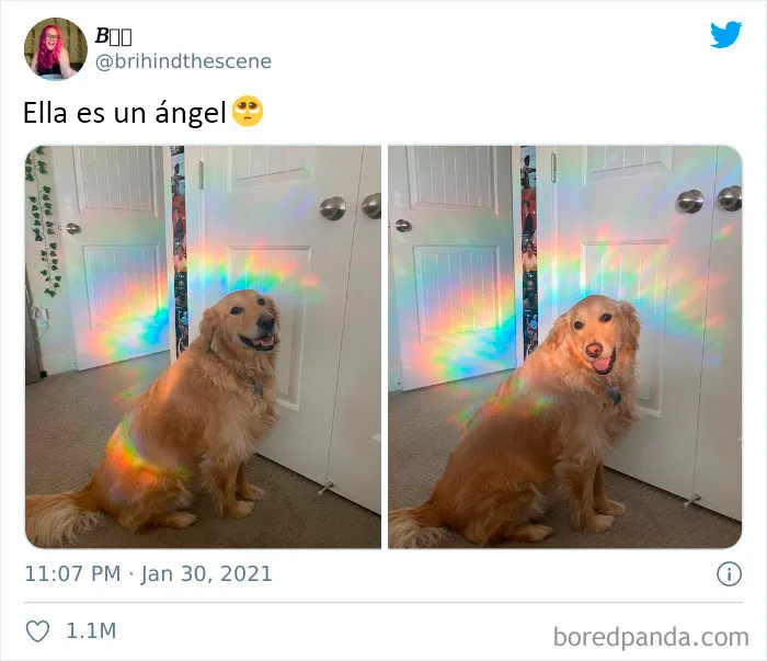 Es un ángel