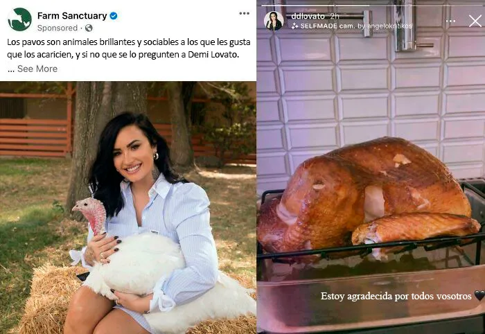 Yo estoy agradecido por Internet