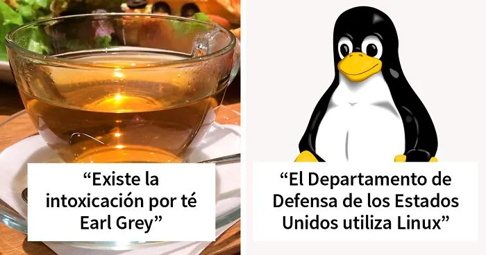 40 Cosas interesantes que la gente no aprendió en la escuela (nuevas fotos)
