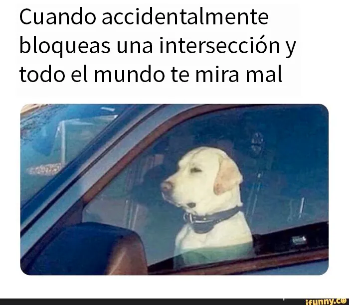 15 Divertidos memes sobre coches para reírte mientras estás en un atasco
