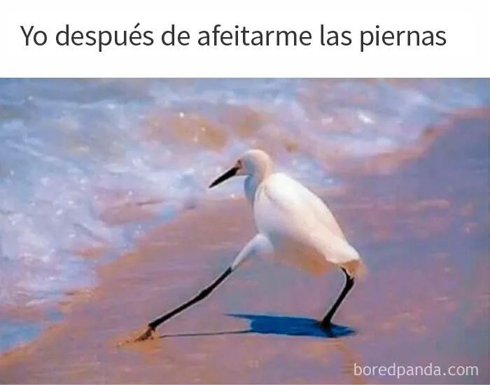20 Memes con los que las mujeres se sentirán identificadas