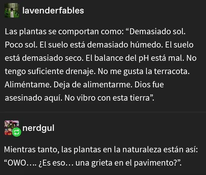 No vibro con esta tierra