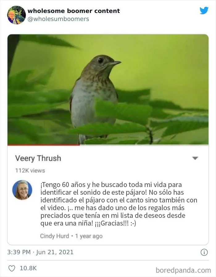 Esta cuenta comparte "contenido positivo de la generación boomer" (10 fotos)