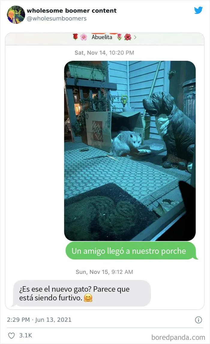 Esta cuenta comparte "contenido positivo de la generación boomer" (10 fotos)