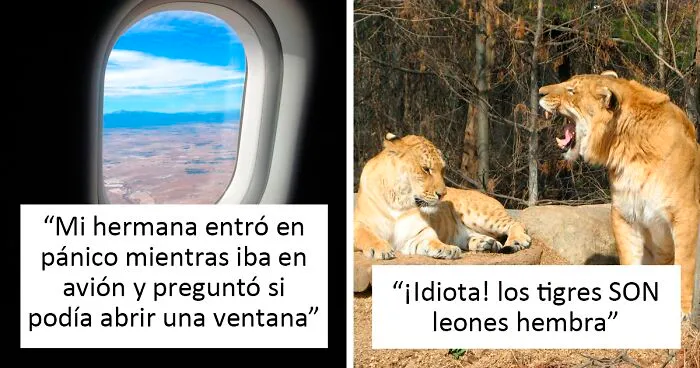 30 Cosas muy tontas que la gente ha escuchado decir a otros