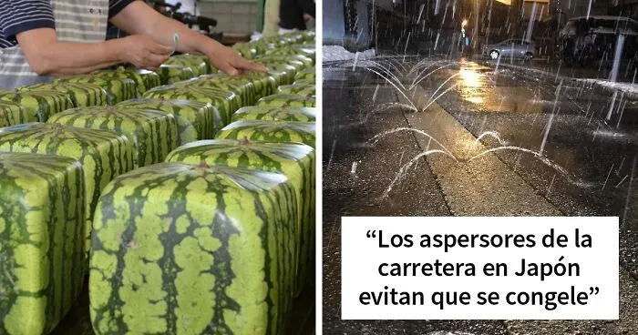 50 Datos que muestran que Japón es diferente a cualquier otro país (nuevas fotos)