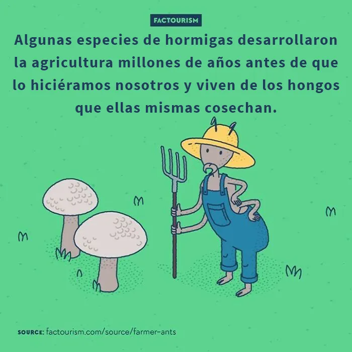 15 Curiosidades sobre el mundo que podrían cambiar tu perspectiva, por Factourism