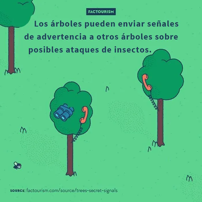 15 Curiosidades sobre el mundo que podrían cambiar tu perspectiva, por Factourism