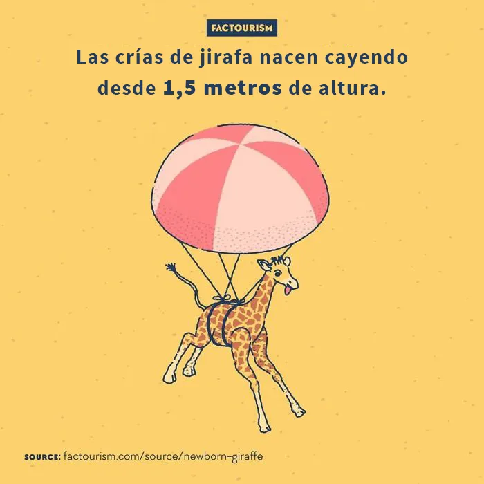 15 Curiosidades sobre el mundo que podrían cambiar tu perspectiva, por Factourism