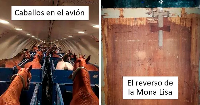 50 Raras fotos que revelan el lado oculto de las cosas (nuevas imágenes)