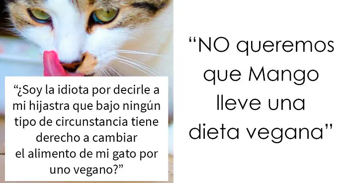 Esta hijastra monta un escándalo cuando sus padres se niegan a alimentar a su gato con comida vegana