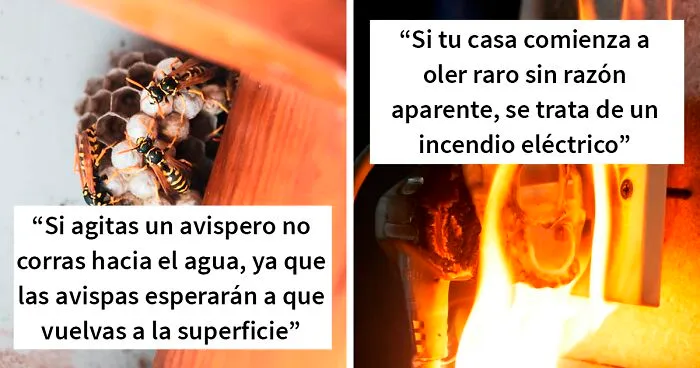 30 Datos que quizá desconocías y que podrían salvar tu vida