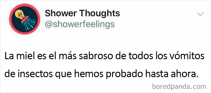 Gracias, odio la miel