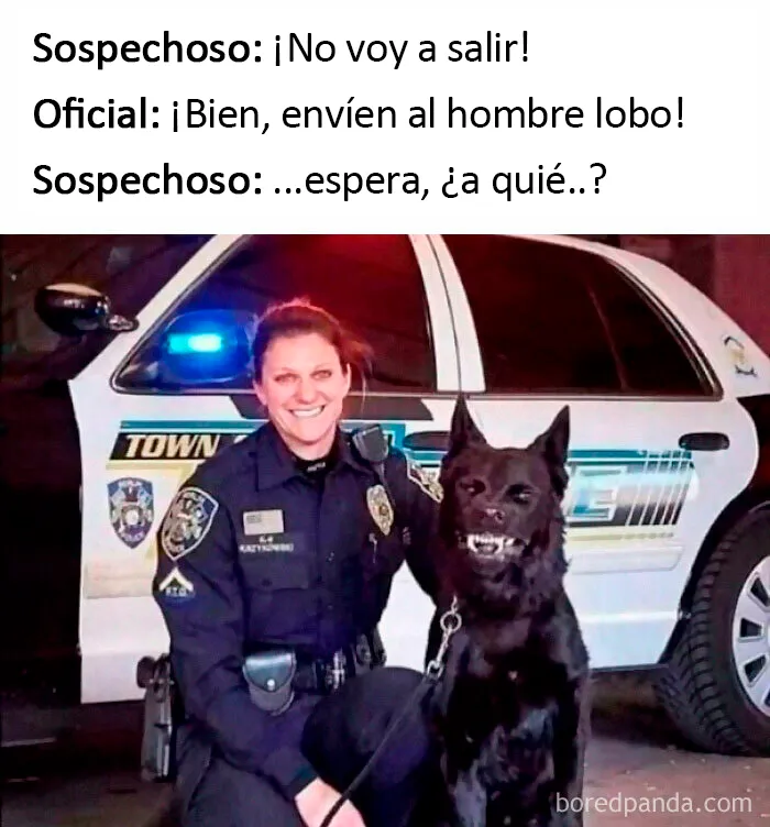Gracias, odio a los hombres lobo policía 