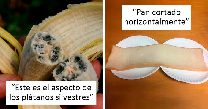 20 Cosas inquietantes que la gente compartió en la página "Gracias, lo odio"