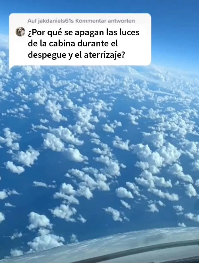 15 Preguntas sobre aviones y vuelos respondidas por estos increíbles pilotos gemelos