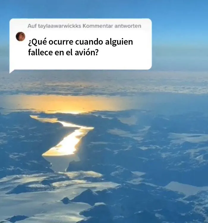 15 Preguntas sobre aviones y vuelos respondidas por estos increíbles pilotos gemelos