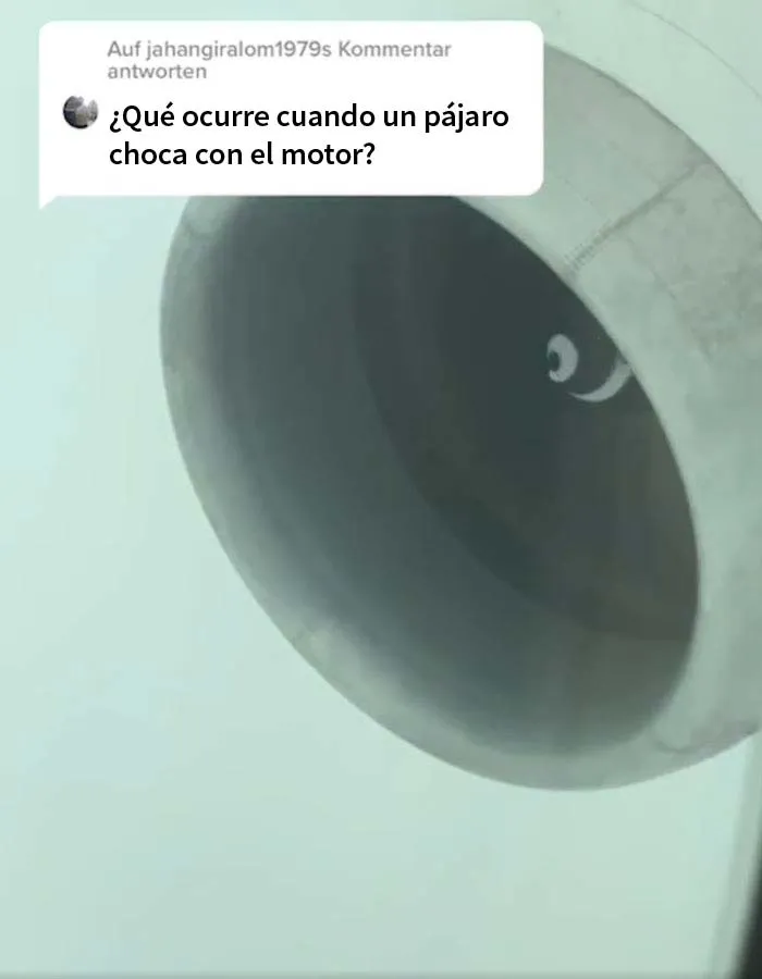 15 Preguntas sobre aviones y vuelos respondidas por estos increíbles pilotos gemelos