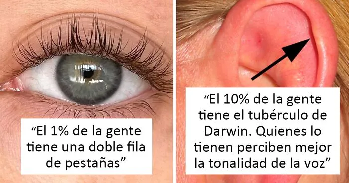 Aprende "¿Cómo de raro es tu cuerpo?" gracias a esta colección viral