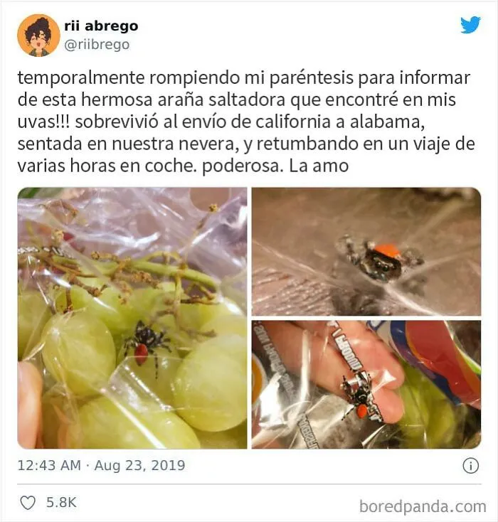 Es una modelo y una superviviente