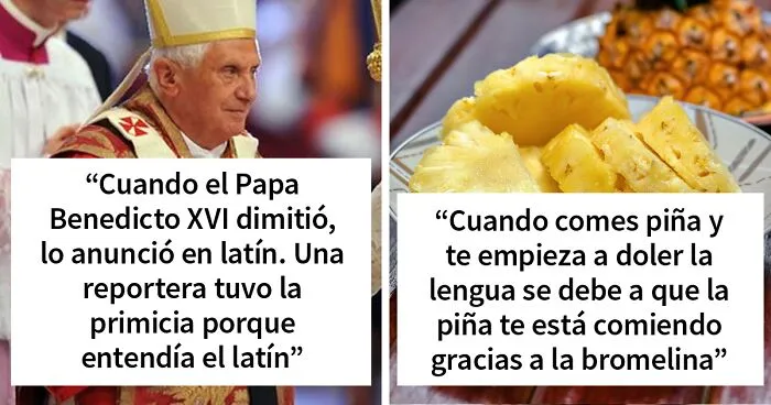 30 Cosas interesantes que la gente no aprendió en la escuela (nuevas fotos)
