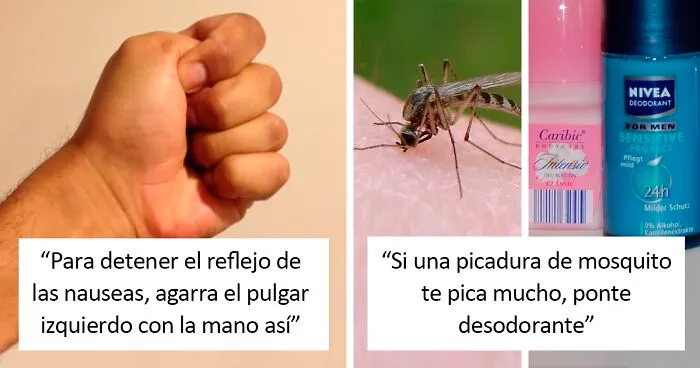 25 Consejos útiles para controlar y aprovechar tu propio cuerpo, compartidos por "Learn Today"