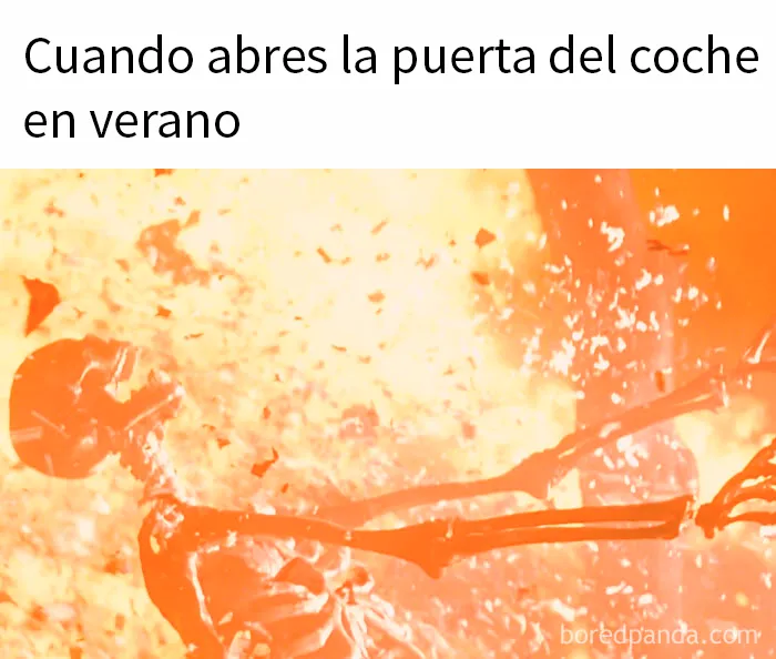 15 Memes muy divertidos para empezar el verano
