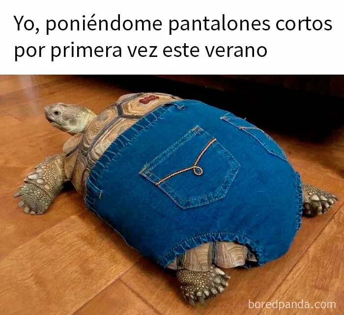 15 Memes muy divertidos para empezar el verano