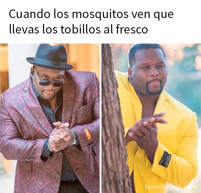 15 Memes muy divertidos para empezar el verano