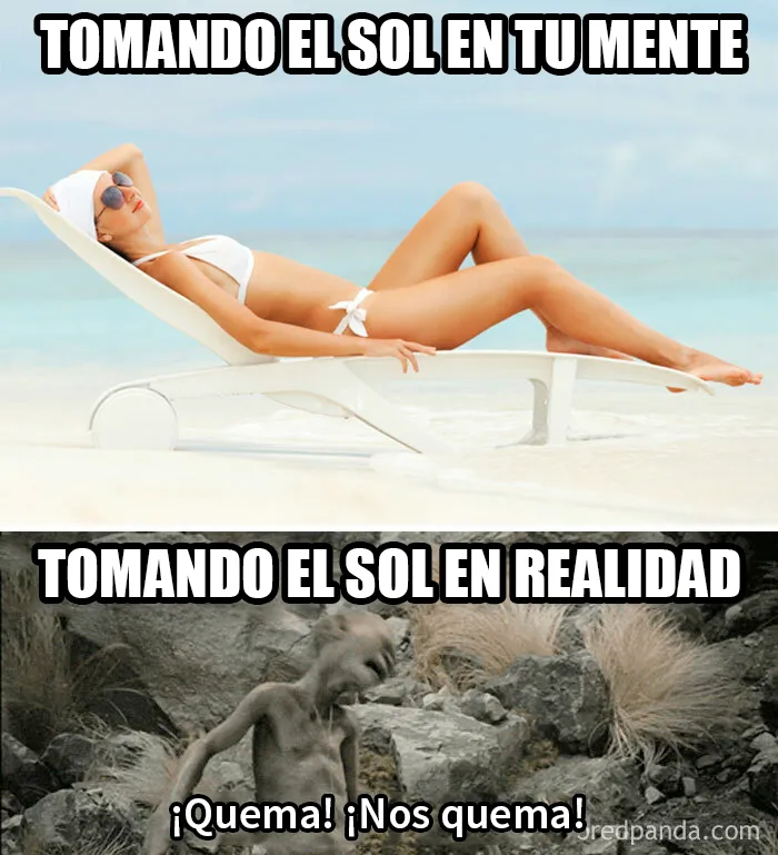 15 Memes muy divertidos para empezar el verano