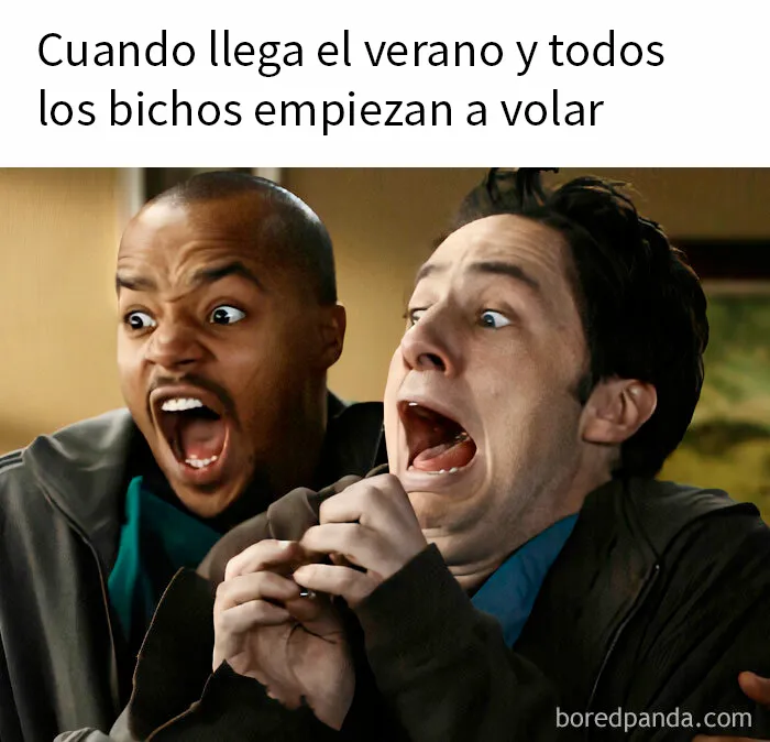 15 Memes muy divertidos para empezar el verano