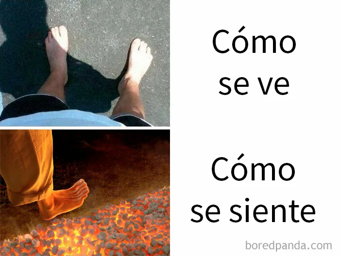 15 Memes muy divertidos para empezar el verano