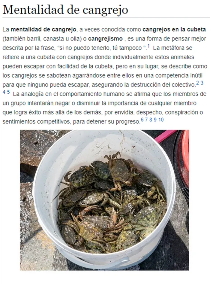 La Gente Sabotea Al Más Talentoso Del Grupo Por Envidia Y Rencor