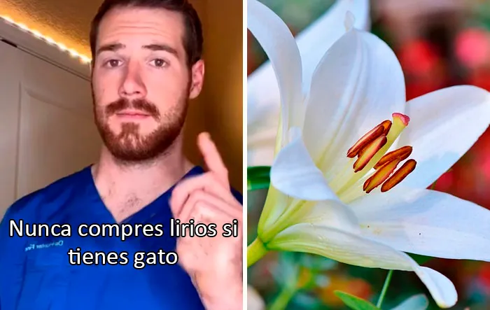 Este veterinario da 20 consejos útiles y poco conocidos para el cuidado de las mascotas