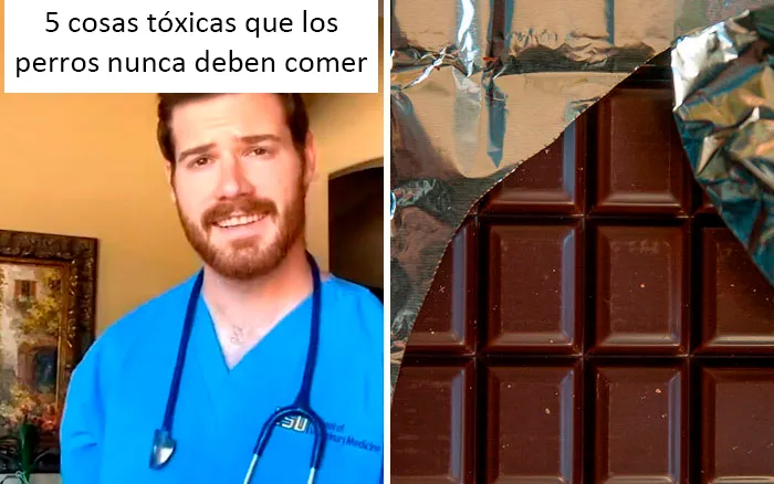 Este veterinario da 20 consejos útiles y poco conocidos para el cuidado de las mascotas