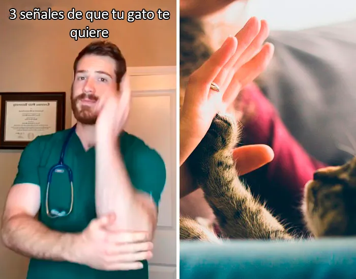 Este veterinario da 20 consejos útiles y poco conocidos para el cuidado de las mascotas